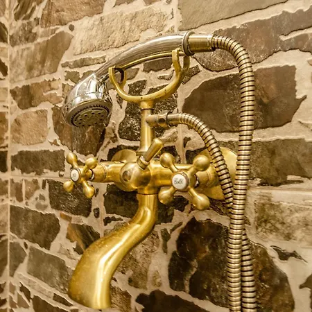 георги божилов - слона * 普罗夫迪夫