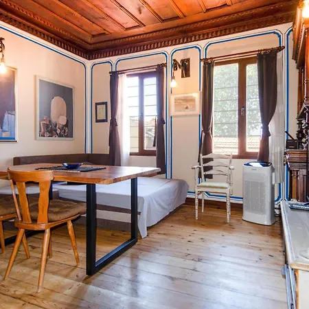 георги божилов - слона 普罗夫迪夫