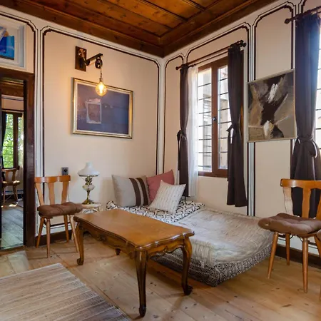 георги божилов - слона * 普罗夫迪夫