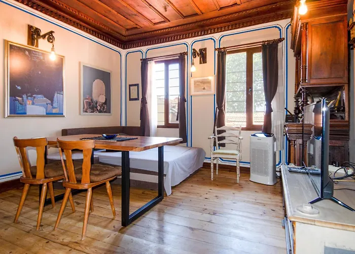 георги божилов - слона 普罗夫迪夫