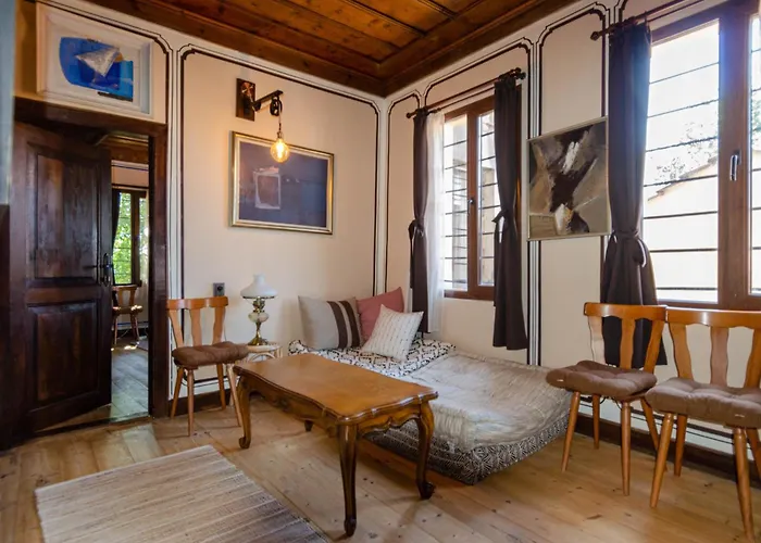 георги божилов - слона * 普罗夫迪夫